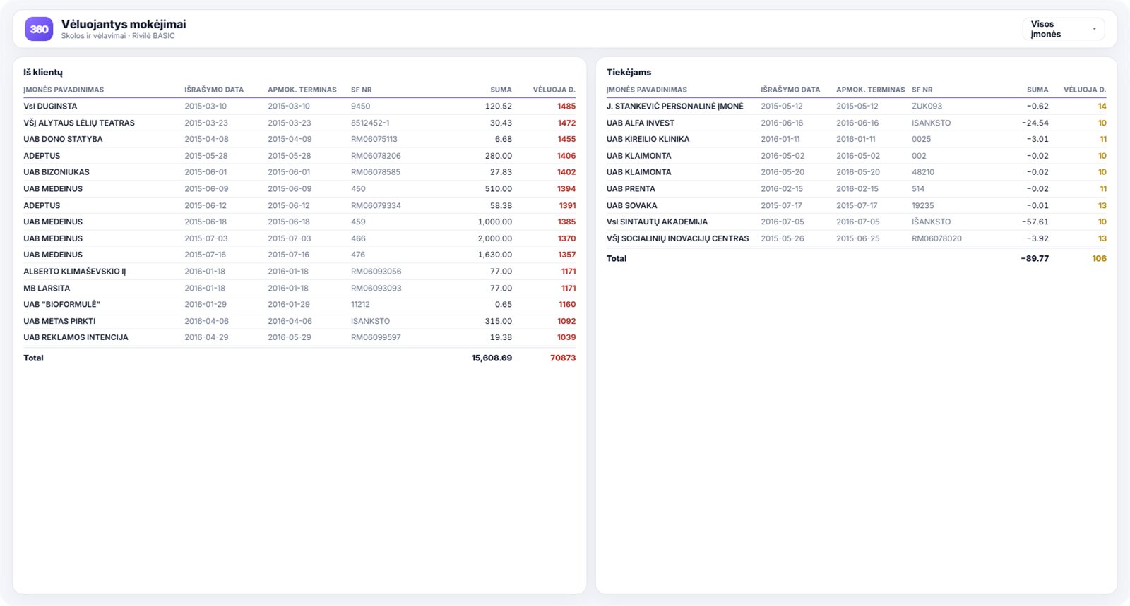 Overdue payments - Power BI ataskaita