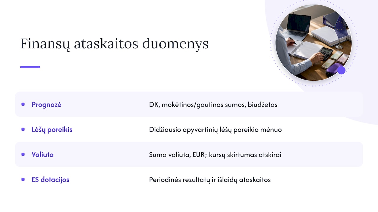 Pinigų srautai, valiuta ir ES finansuojami projektai — overview diagram