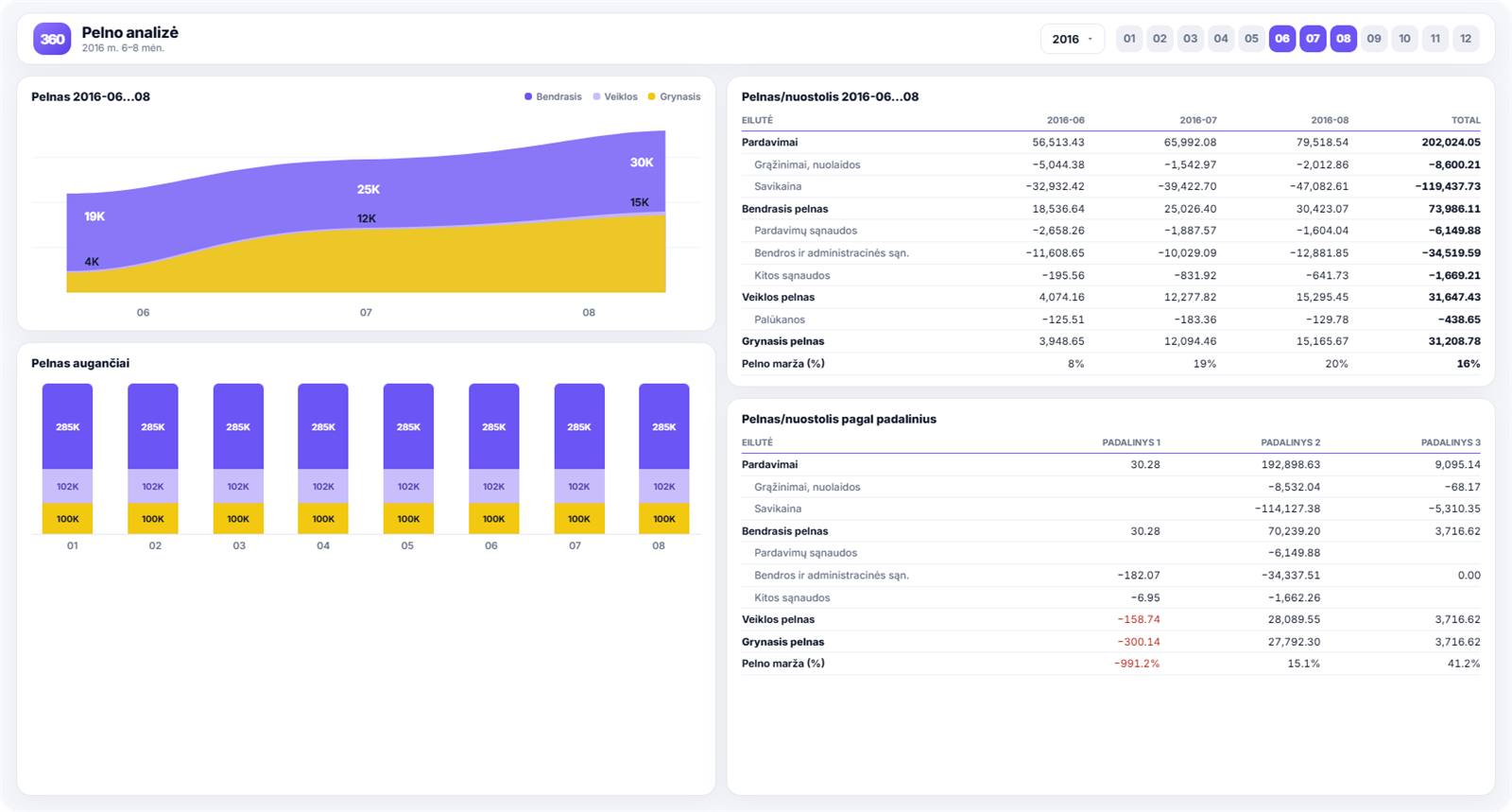 Power BI ataskaitos pavyzdys